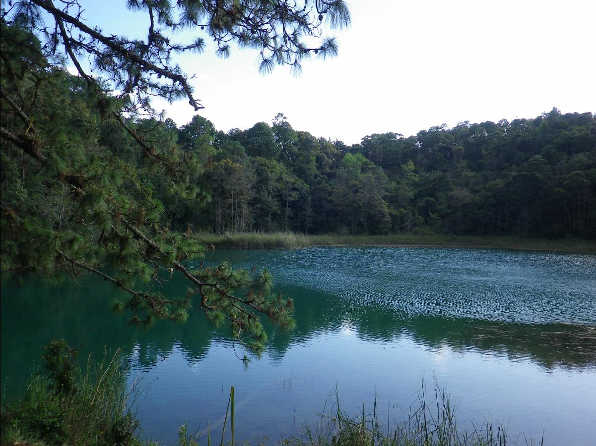 Lake Area40